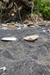 Similar image 21510811