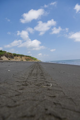 Similar image 21510813