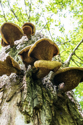 Similar image 21511447