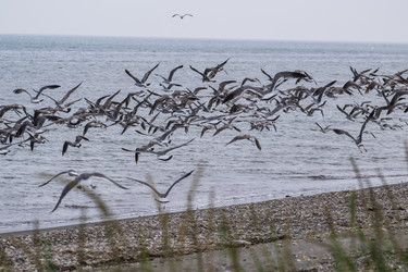 Similar image 21510814