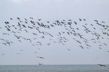 Similar image 21510815