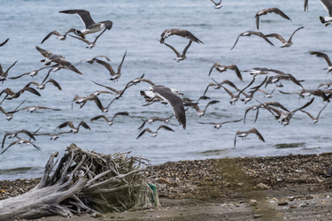 Similar image 21510816