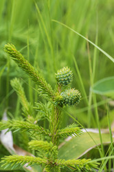 Similar image 21511452