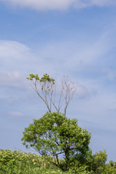 Similar image 21511838