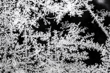 Similar image 21510449