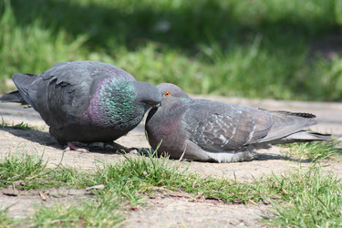 Similar image 21510470