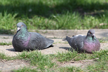 Similar image 21510471