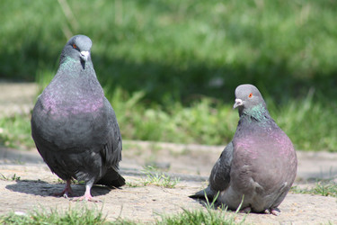 Similar image 21510472