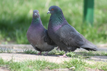 Similar image 21510473