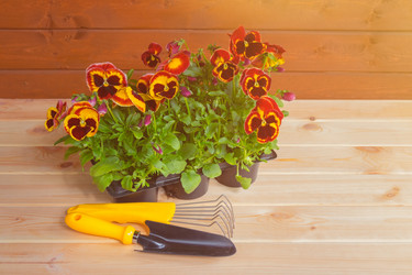 Similar image 21510880