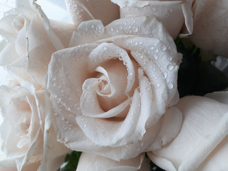 Similar image 21515008