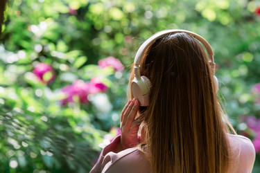 Similar image 21511419