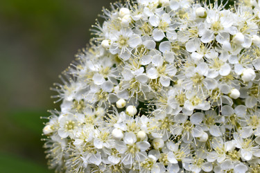 Similar image 21510917