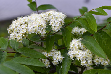 Similar image 21510918