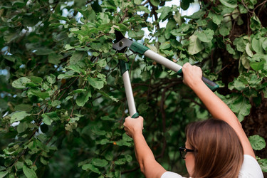 Similar image 21511244