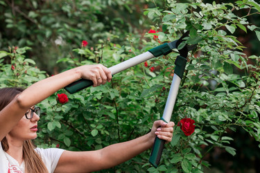 Similar image 21511245