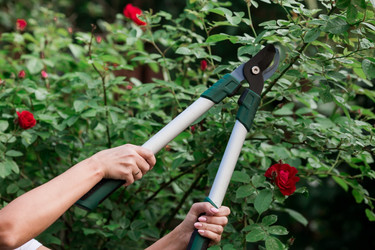 Similar image 21511246