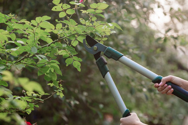 Similar image 21511248