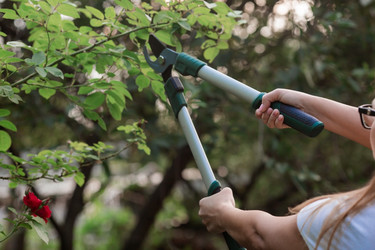 Similar image 21511249