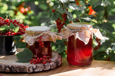 Similar image 21511262