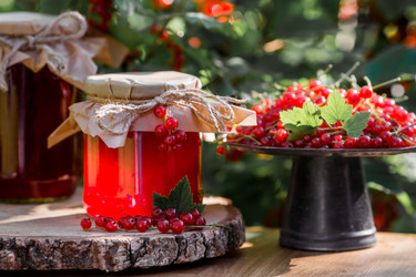 Similar image 21511264