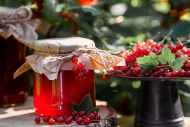 Similar image 21511265