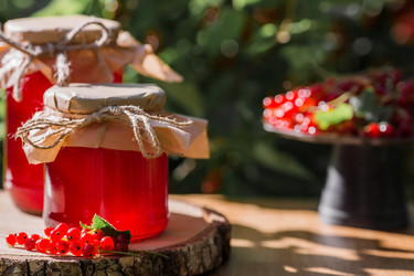 Similar image 21511269