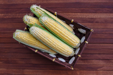 Similar image 21512045