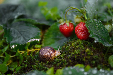 Similar image 21512048