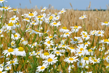 Similar image 21511839