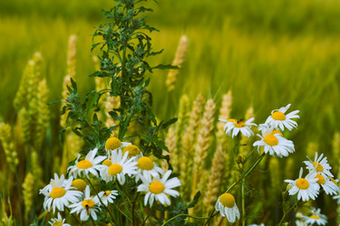 Similar image 21511840