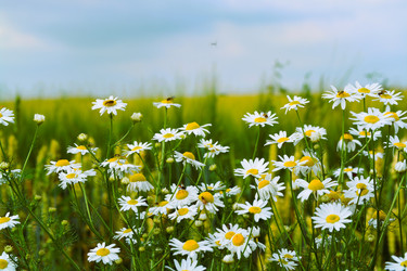 Similar image 21511841