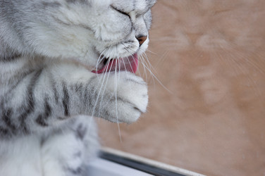 Similar image 21511877