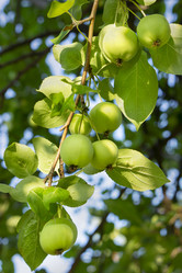 Similar image 21511878