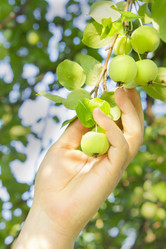 Similar image 21511879