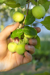 Similar image 21511880