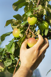 Similar image 21511881