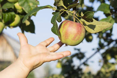 Similar image 21511883