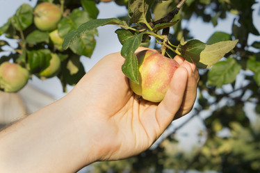 Similar image 21511885