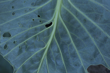 Similar image 21511886