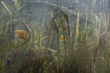 Similar image 21511887