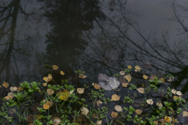 Similar image 21511888