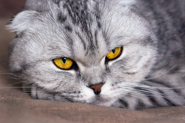 Similar image 21511892