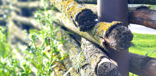 Similar image 21511482