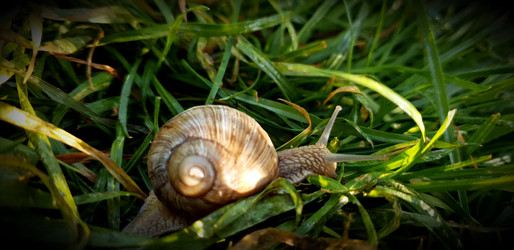 Similar image 21511485