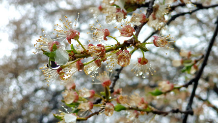 Similar image 21511486