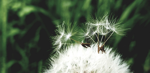 Similar image 21511488