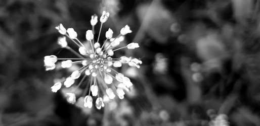 Similar image 21511489