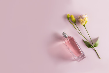 Similar image 21511275