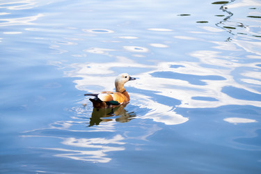 Similar image 21511510